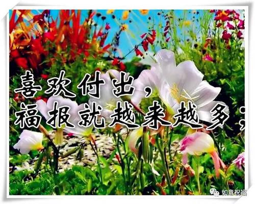 8月1日的祝福讯息