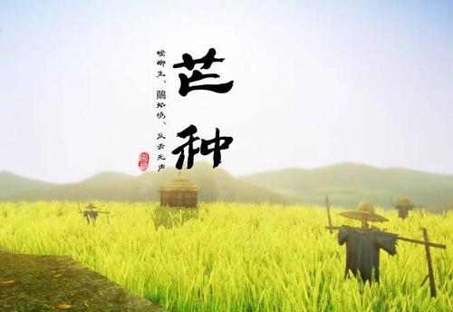 芒果祝福