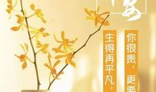 六个字的励志句子