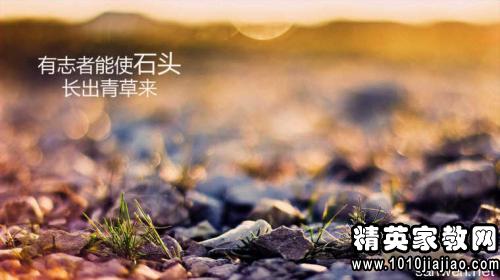 青年寄语