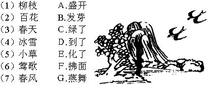 柳树的判决