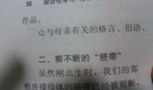 关于母爱的格言警句