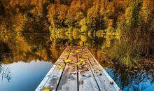 关于深秋的句子