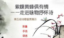 咏物的诗句大全