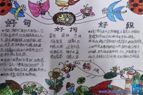 公园里的好单词和句子