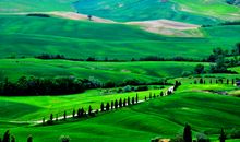 描写草原风景的句子