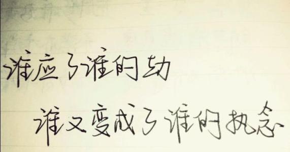 说说它