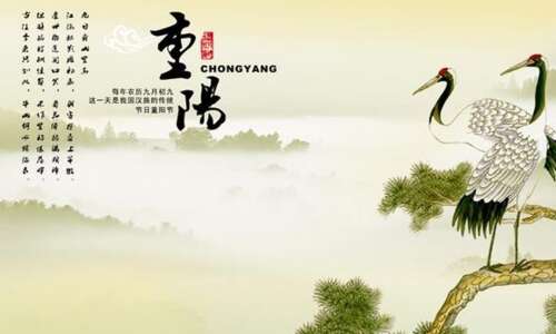 重阳节致敬老人