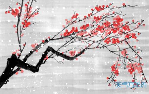 梅花的抒情诗