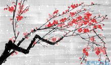 借梅花抒情的诗句