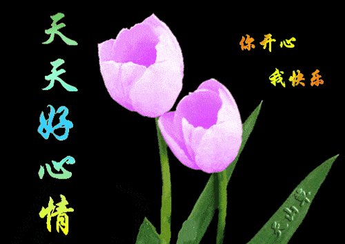 美丽的祝福