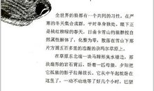 狼王梦经典句子