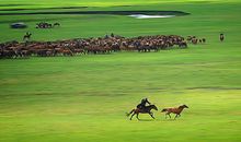 描写草原的诗句大全