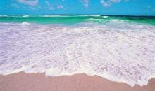 关于描写大海的诗句