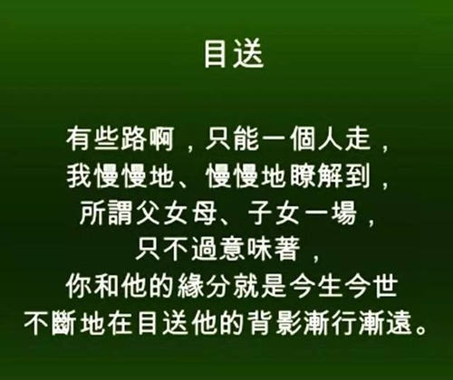 龙应台语录