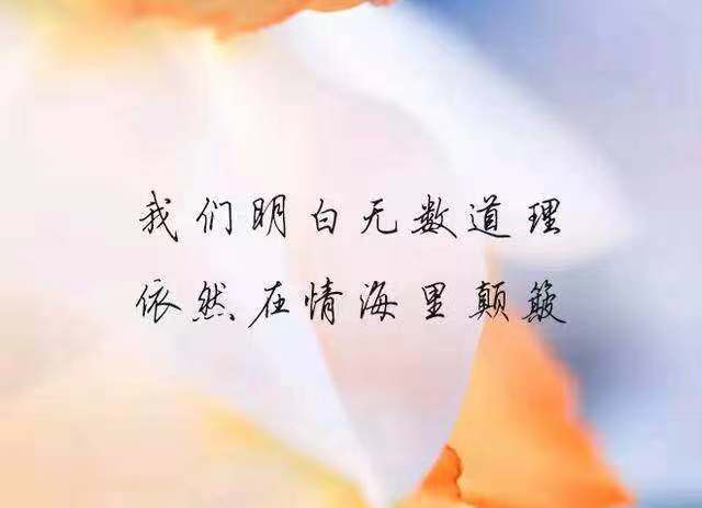 孤独的经典句子