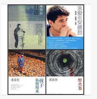 龙应台作品经典语录