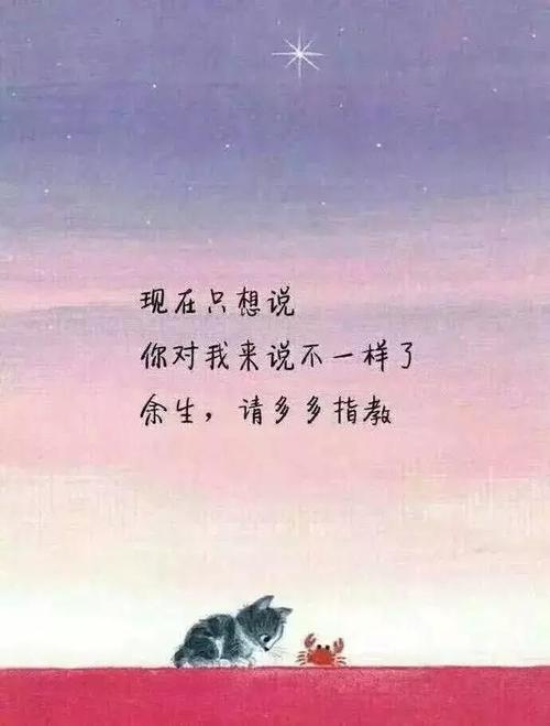 孤独感伤的句子