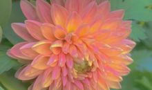 适合激励自己的唯美文案 鼓励自己的短句