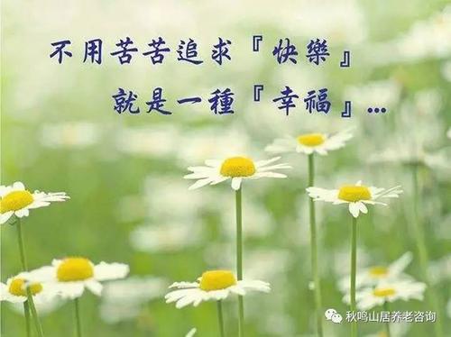 查看经典报价