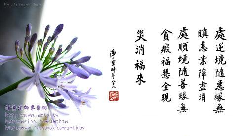 逆境行情