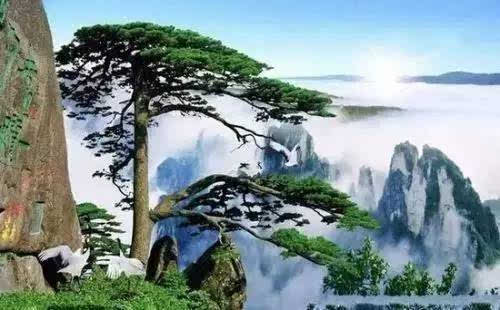 描写黄山的古诗