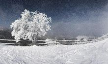 描写雪景的经典句子