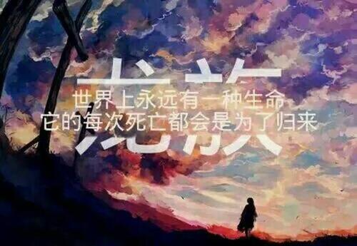 龙中的名言