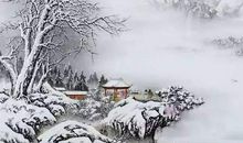 描写雪的句子抒情