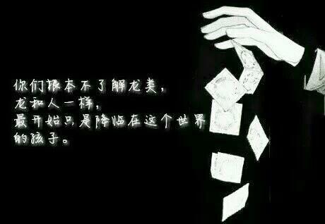 龙语录