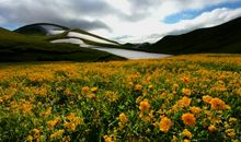 祝女朋友每天早上开心的句子 祝女朋友开心的句子简短