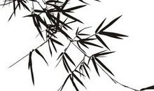 有关于竹子的诗句