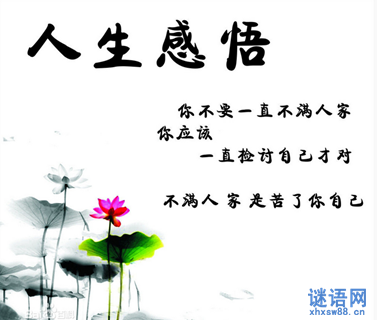 对经典报价的感性理解