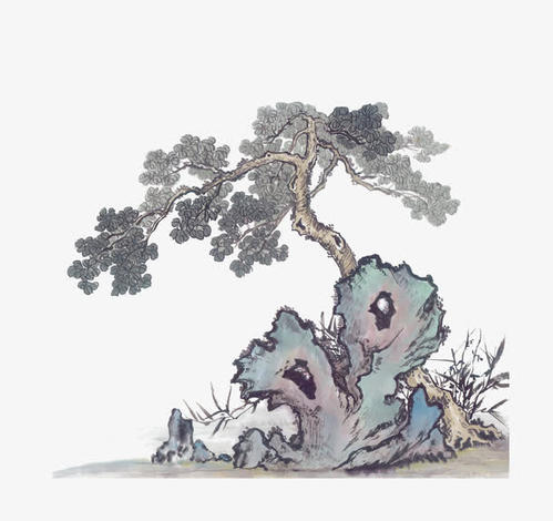 描述松树的词