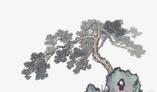 描写松树的词语