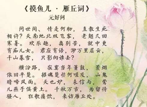 感人的爱情诗句