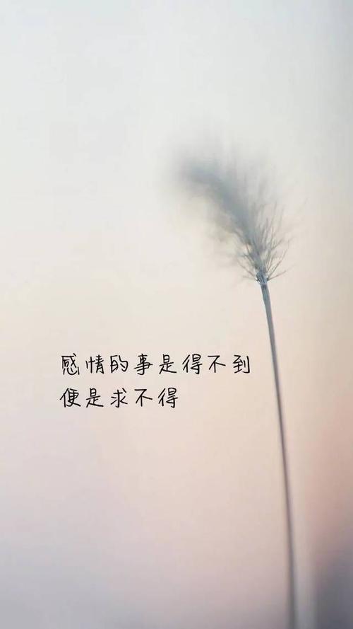 日常情绪短语