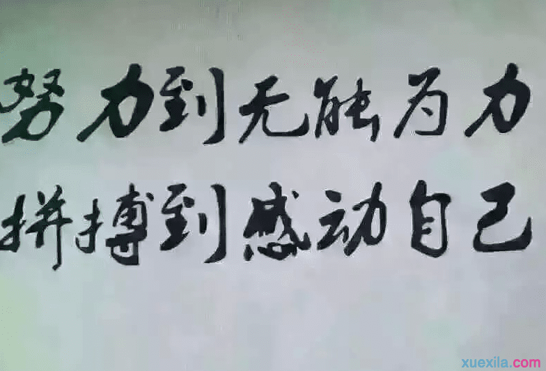励志体育报价