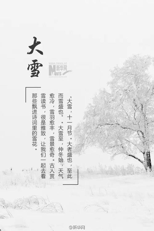 描写雪的古诗