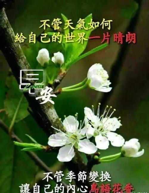 最佳时间行情