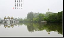 与西湖有关的诗句