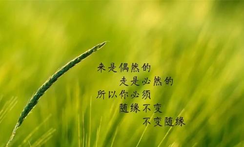 著名谚语和谚语