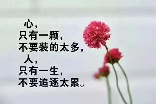 历史上最可悲的一句话