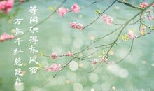 写四季景的诗句