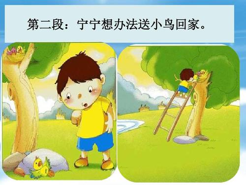 爱鸟的口号