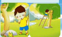 爱护小鸟的宣传语