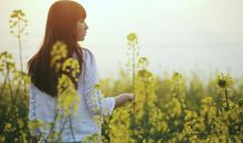 2017唯美的爱情说说