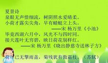 描写阅读的诗句