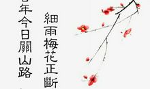 描写梅花的诗句