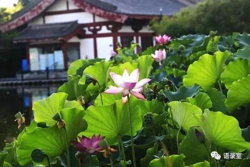 冥想经典行情